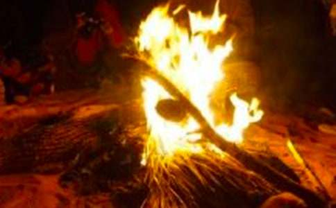 2017篝火晚會作文