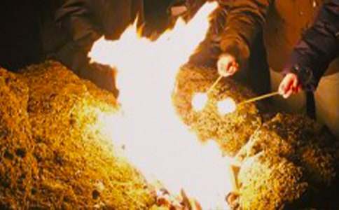 ����������ִ��~