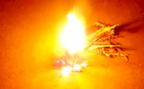 難忘的篝火晚會作文2017