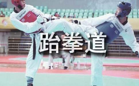 一場難忘的跆拳道比賽作文400字