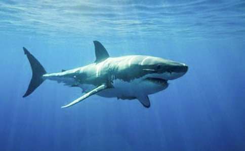 �P�����~������