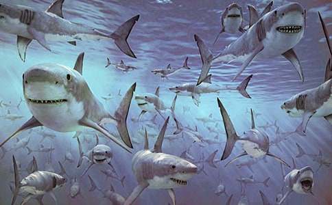 ���~���ģ����x29ƪ��