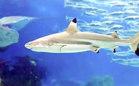 ���~����4ƪ