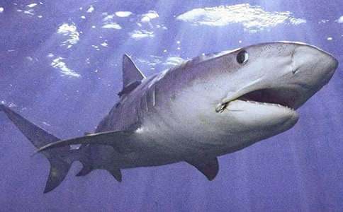 ���o���~������ƪ