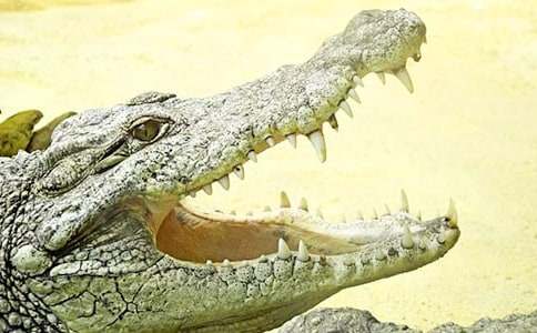 �{�~С�W���꼉����