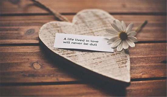 ����������һ�ӵĐ�������