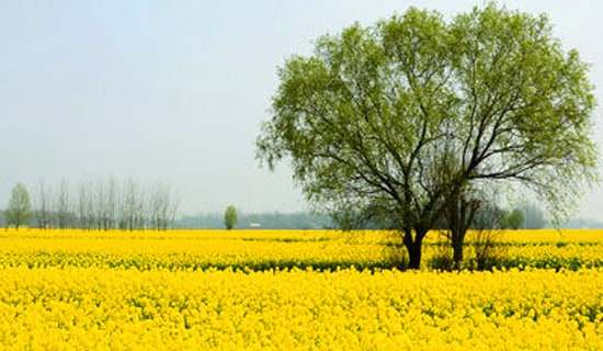 ȥ�h�򹫈@����С�W����